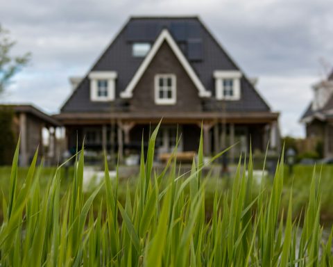 white and black house near to pond