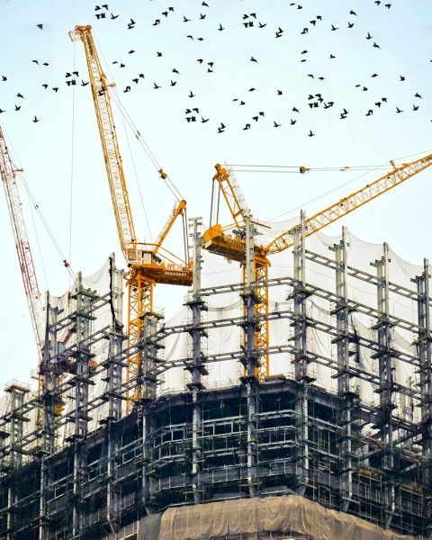 low angle photography of cranes on top of building