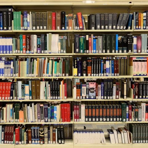 library, books, bookshelves, bookcases, literature, read, reading, bookworm, knowledge, information, data, college, university, learning, education, study, research, library books, publication, expertise, wisdom, school, reference, library, library, library, library, library, books, books, books, college, university, education, study, research, school, school, school