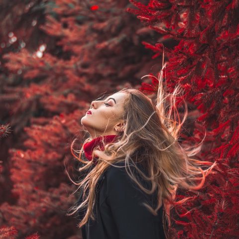 Een haarborstel met losse haren op een houten vloer in de herfst
